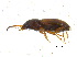  ( - BIOUG06758-A06)  @13 [ ] CreativeCommons - Attribution (2013) M. Alex Smith Centre for Biodiversity Genomics