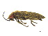  ( - BIOUG06758-A09)  @13 [ ] CreativeCommons - Attribution (2013) M. Alex Smith Centre for Biodiversity Genomics