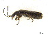  ( - BIOUG06758-B01)  @13 [ ] CreativeCommons - Attribution (2013) M. Alex Smith Centre for Biodiversity Genomics