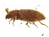  ( - BIOUG06758-B10)  @13 [ ] CreativeCommons - Attribution (2013) M. Alex Smith Centre for Biodiversity Genomics
