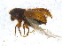  ( - BIOUG06758-E09)  @13 [ ] CreativeCommons - Attribution (2013) M. Alex Smith Centre for Biodiversity Genomics