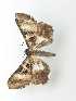  ( - VANASA2E7-LN573)  @11 [ ] Copyright (2023) Insitituto de Investigacion  Alexander von Humboldt (IAvH) Insitituto de Investigacion de Recursos Biologicos Alexander von Humboldt