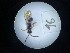  ( - Malasa1_E16_Hym_AO16)  @11 [ ] Copyright (2023) Instituto de Investigacion Alexander von Humboldt (IAvH) Instituto de Investigacion Alexander von Humboldt (IAvH)