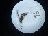  ( - Malasa1_E16_Hym_AO16)  @11 [ ] Copyright (2023) Instituto de Investigacion Alexander von Humboldt (IAvH) Instituto de Investigacion Alexander von Humboldt (IAvH)