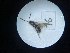  ( - Malasa1_E16_Hym_AO16)  @11 [ ] Copyright (2023) Instituto de Investigacion Alexander von Humboldt (IAvH) Instituto de Investigacion Alexander von Humboldt (IAvH)