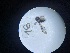  ( - Malasa1_E17_Dip_GD18)  @11 [ ] Copyright (2023) Instituto de Investigacion Alexander von Humboldt (IAvH) Instituto de Investigacion Alexander von Humboldt (IAvH)