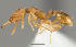  ( - CASENT0123444-D01)  @12 [ ] Unspecified (default): All Rights Reserved  Unspecified Unspecified