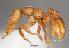  ( - HJR131(22)-01-D01)  @13 [ ] Unspecified (default): All Rights Reserved  Unspecified Unspecified