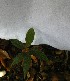  ( - PLANASAB4_P2_1)  @11 [ ] Copyright (2023) Instituto de Investigacion Alexander von Humboldt (IAvH) Instituto de Investigacion Alexander von Humboldt (IAvH)