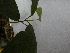  ( - PLANASAB4_P2_1)  @11 [ ] Copyright (2023) Instituto de Investigacion Alexander von Humboldt (IAvH) Instituto de Investigacion Alexander von Humboldt (IAvH)