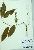  ( - PLANASAB3_P1_2)  @11 [ ] Copyright (2023) Instituto de Investigacion Alexander von Humboldt (IAvH) Instituto de Investigacion Alexander von Humboldt (IAvH)