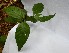  ( - PLANASAB4_P2_3)  @11 [ ] Copyright (2023) Instituto de Investigacion Alexander von Humboldt (IAvH) Instituto de Investigacion Alexander von Humboldt (IAvH)