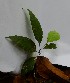  ( - PLANASAB3_P1_2)  @11 [ ] Copyright (2023) Instituto de Investigacion Alexander von Humboldt (IAvH) Instituto de Investigacion Alexander von Humboldt (IAvH)