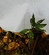  ( - PLANASAB3_P4_7)  @11 [ ] Copyright (2023) Instituto de Investigacion Alexander von Humboldt (IAvH) Instituto de Investigacion Alexander von Humboldt (IAvH)