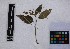  ( - PLANASAB3_P1_4)  @11 [ ] Copyright (2023) Instituto de Investigacion Alexander von Humboldt (IAvH) Instituto de Investigacion Alexander von Humboldt (IAvH)