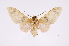  ( - INB0003025332)  @11 [ ] Copyright (2012) B. Espinoza Instituto Nacional de Biodiversidad