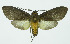  ( - INB0003301136)  @13 [ ] CreativeCommons - Attribution Non-Commercial No Derivatives (2011) Alex Smith University of Guelph