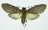  ( - INB0003301136)  @13 [ ] CreativeCommons - Attribution Non-Commercial No Derivatives (2011) Alex Smith University of Guelph