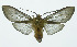  ( - INB0003339633)  @14 [ ] Copyright (2010) A. Solis Instituto Nacional de Biodiversidad