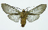  ( - INB0003339633)  @14 [ ] Copyright (2010) A. Solis Instituto Nacional de Biodiversidad