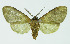  ( - INB0003347889)  @12 [ ] Copyright (2010) A. Solis Instituto Nacional de Biodiversidad