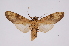  ( - INB0003374964)  @11 [ ] Copyright (2012) B. Espinoza Instituto Nacional de Biodiversidad