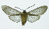  ( - INB0003487069)  @14 [ ] Copyright (2010) A. Solis Instituto Nacional de Biodiversidad