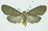  ( - INB0003521271)  @14 [ ] CreativeCommons - Attribution Non-Commercial No Derivatives (2011) Alex Smith University of Guelph