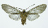  ( - INB0003554656)  @13 [ ] Copyright (2010) A. Solis Instituto Nacional de Biodiversidad