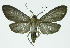  ( - INB0003561632)  @11 [ ] CreativeCommons - Attribution Non-Commercial No Derivatives (2011) Alex Smith University of Guelph