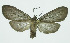  ( - INB0003707281)  @13 [ ] CreativeCommons - Attribution Non-Commercial No Derivatives (2011) Alex Smith University of Guelph