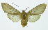  ( - INB0003707368)  @14 [ ] Copyright (2010) A. Solis Instituto Nacional de Biodiversidad