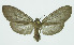  ( - INB0003708299)  @13 [ ] CreativeCommons - Attribution Non-Commercial No Derivatives (2011) Alex Smith University of Guelph