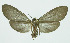 ( - INB0003708299)  @13 [ ] CreativeCommons - Attribution Non-Commercial No Derivatives (2011) Alex Smith University of Guelph