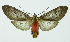  ( - INB0003708395)  @11 [ ] Copyright (2010) A. Solis Instituto Nacional de Biodiversidad