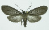  ( - INB0003756218)  @13 [ ] CreativeCommons - Attribution Non-Commercial No Derivatives (2011) Alex Smith University of Guelph