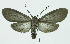  ( - INB0003756218)  @13 [ ] CreativeCommons - Attribution Non-Commercial No Derivatives (2011) Alex Smith University of Guelph