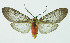  ( - INB0003756433)  @13 [ ] Copyright (2010) A. Solis Instituto Nacional de Biodiversidad