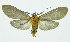  ( - INB0003756666)  @13 [ ] CreativeCommons - Attribution Non-Commercial No Derivatives (2011) Alex Smith University of Guelph