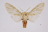  ( - INB0003766107)  @14 [ ] Copyright (2012) B. Espinoza Instituto Nacional de Biodiversidad