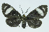  ( - INB0003860937)  @13 [ ] CreativeCommons - Attribution Non-Commercial No Derivatives (2011) Alex Smith University of Guelph
