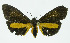  ( - INB0003880781)  @12 [ ] CreativeCommons - Attribution Non-Commercial No Derivatives (2011) Alex Smith University of Guelph