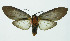  ( - INB0003928429)  @12 [ ] Copyright (2010) A. Solis Instituto Nacional de Biodiversidad