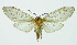  ( - INB0003928433)  @11 [ ] Copyright (2010) A. Solis Instituto Nacional de Biodiversidad