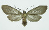  ( - INB0003931388)  @13 [ ] CreativeCommons - Attribution Non-Commercial No Derivatives (2011) Alex Smith University of Guelph