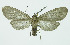  ( - INB0003931389)  @13 [ ] CreativeCommons - Attribution Non-Commercial No Derivatives (2011) Alex Smith University of Guelph