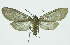  ( - INB0003931389)  @13 [ ] CreativeCommons - Attribution Non-Commercial No Derivatives (2011) Alex Smith University of Guelph