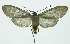  ( - INB0003935266)  @13 [ ] CreativeCommons - Attribution Non-Commercial No Derivatives (2011) Alex Smith University of Guelph