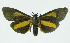  ( - INB0003935765)  @13 [ ] CreativeCommons - Attribution Non-Commercial No Derivatives (2011) Alex Smith University of Guelph