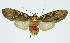  ( - INB0003943266)  @11 [ ] CreativeCommons - Attribution Non-Commercial No Derivatives (2011) Alex Smith University of Guelph
